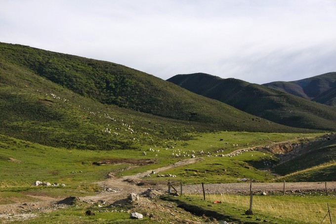 西北归来，我想说给你听，青海甘肃西安华山11天
