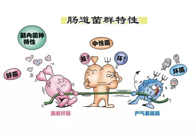 这几种药千万不要混用,这几种药千万不要混在一起吃