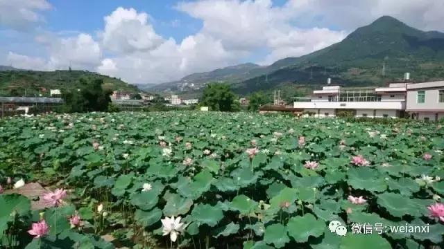 安溪最好看的风景,安溪哪个风景好