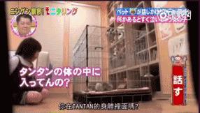 女朋友混黑社会怎么劝,女友家里是黑社会