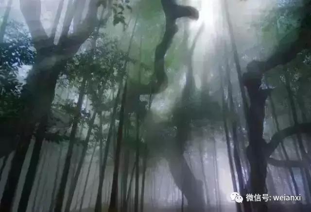 安溪最好看的风景,安溪哪个风景好