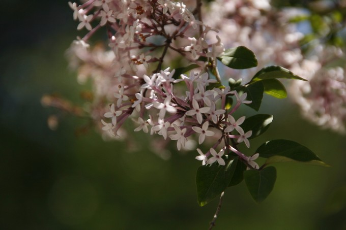 西北归来，我想说给你听，青海甘肃西安华山11天