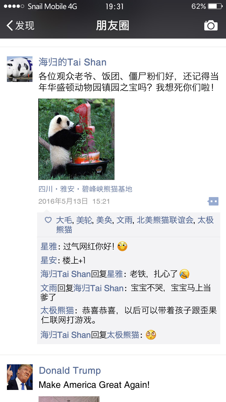 熊猫也爱晒朋友圈，最后一只叫太极的熊猫亮了