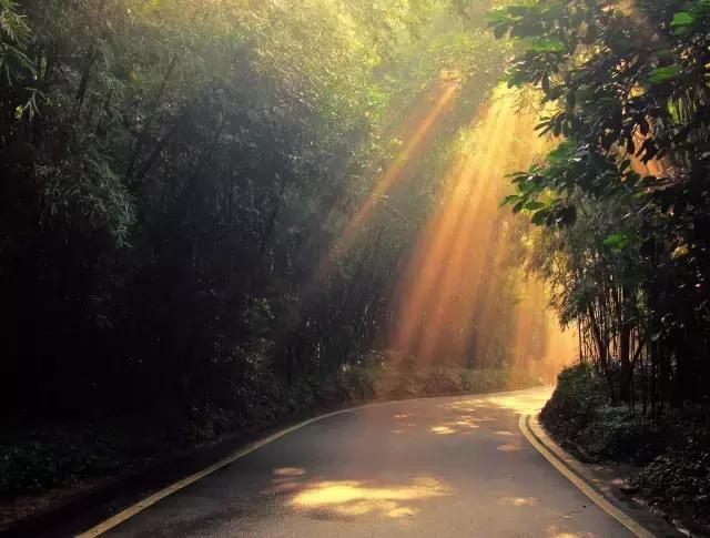 晨曦微光音乐,晨曦微光护理能淡斑吗