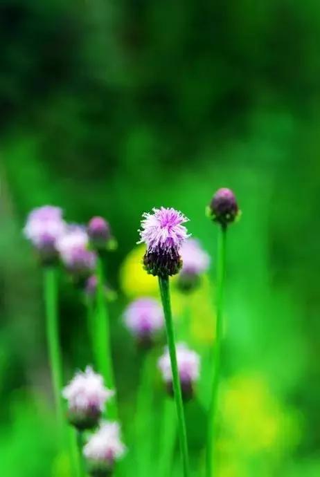 晨曦微光音乐,晨曦微光护理能淡斑吗