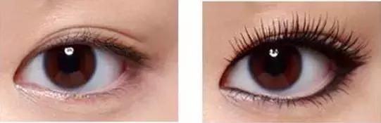 赫莲娜睫毛膏豹纹和蟒纹哪个好用,强烈推荐超好用的睫毛膏