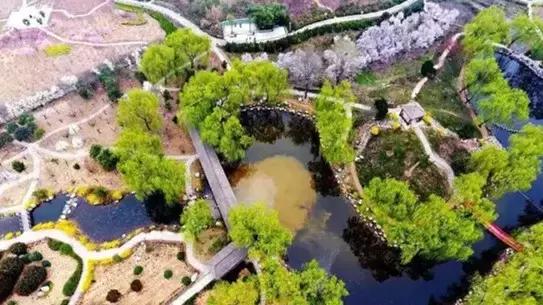 国家花木博览园旅游攻略,花木博览园一日游