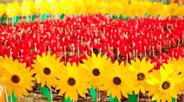 国家花木博览园旅游攻略,花木博览园一日游