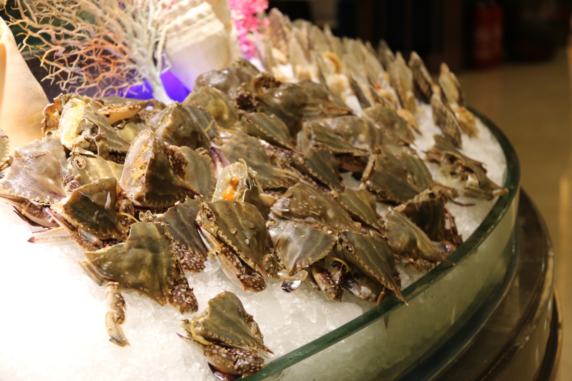 新鲜海洋海鲜,大海的味道不容错过冰鲜海鲜