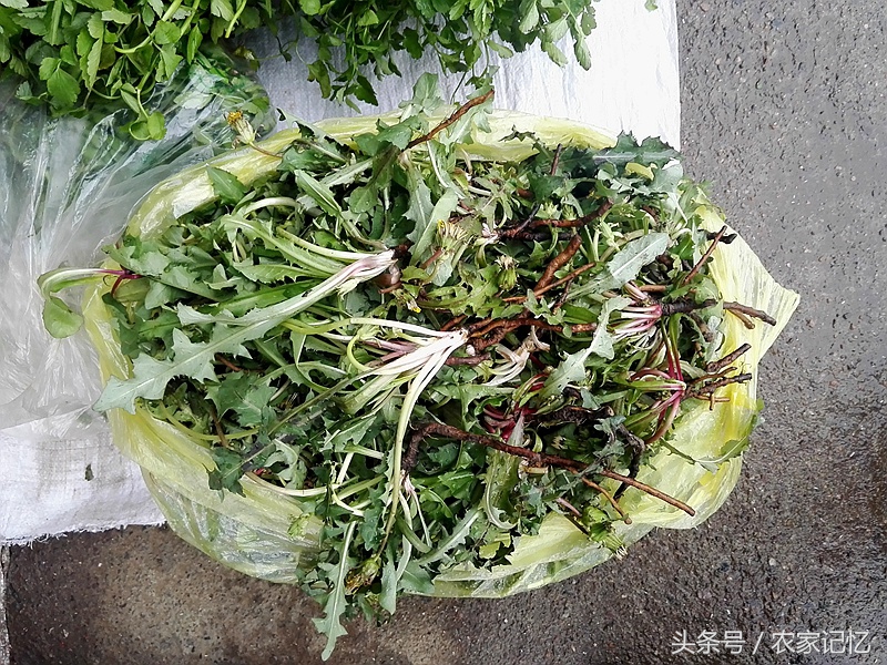 农村老人买野菜,农村卖的野菜