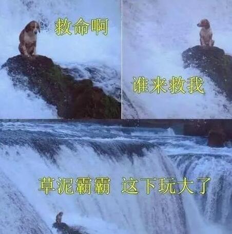 捉迷藏高手潜藏,捉迷藏的高手是谁