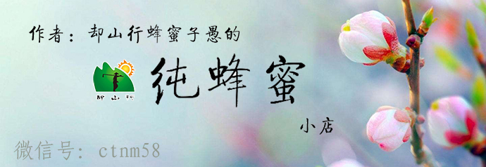 蜜蜂生病怎么办呢,蜜蜂生病的管理方法有哪些