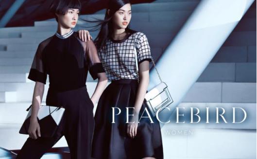 鍚勫ぇ鐢靛晢鐜扮姸鎼炵瑧,鎼炵瑧鐢靛晢鍙嶈浆