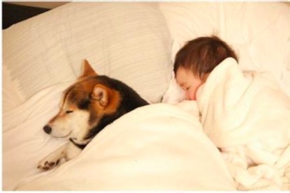 一款好奶粉排名,100款奶粉测评排行价格