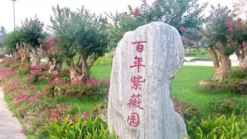 国家花木博览园旅游攻略,花木博览园一日游