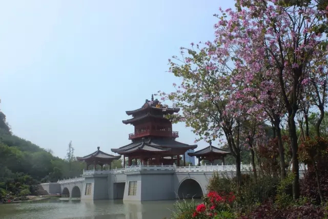 爱她就带她去三亚,爱他就带他去旅游吧