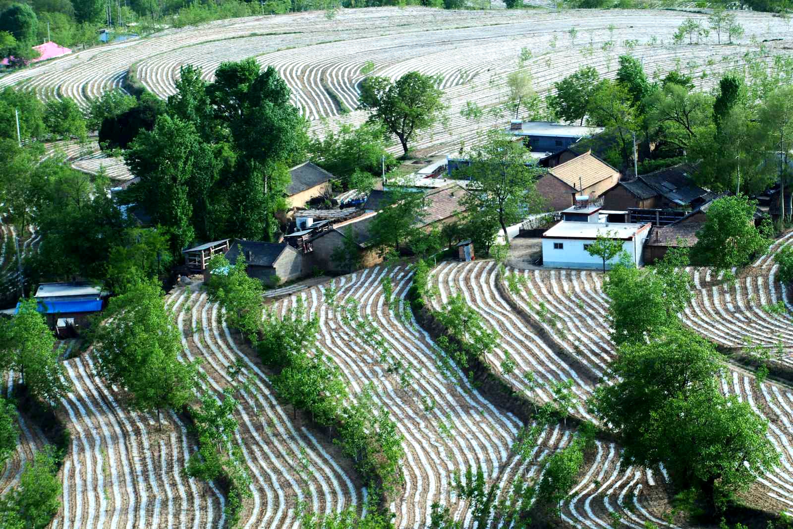 梯田上帝指纹观景台,上帝的指纹密码是什么