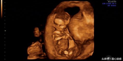 达芬奇密码的真实含义,达芬奇密码十大细思极恐