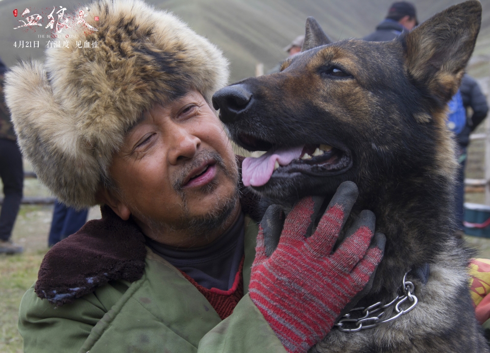 血狼犬精神,血狼犬性格