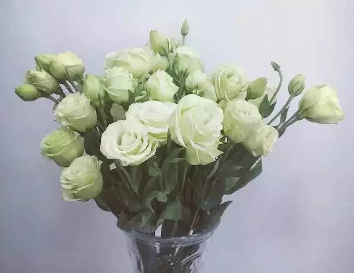 “有人想活活不了，有人想死死不了”｜我在ICU病房的日子