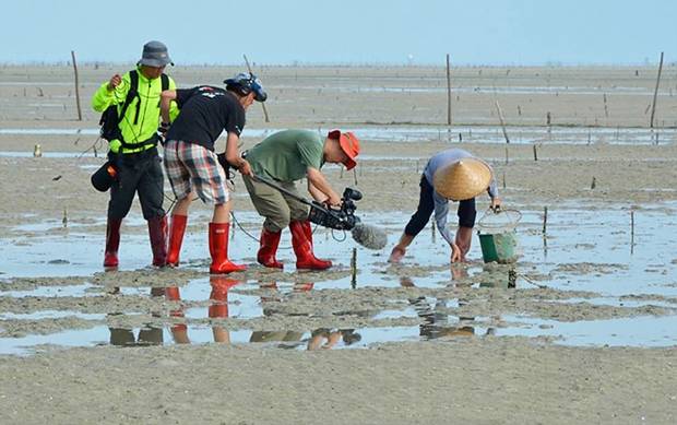 2900万年前的螃蟹,3500万年前的石头螃蟹