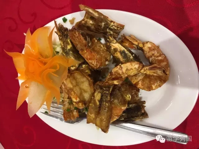 菲律宾游学物品攻略,菲律宾游学学英语