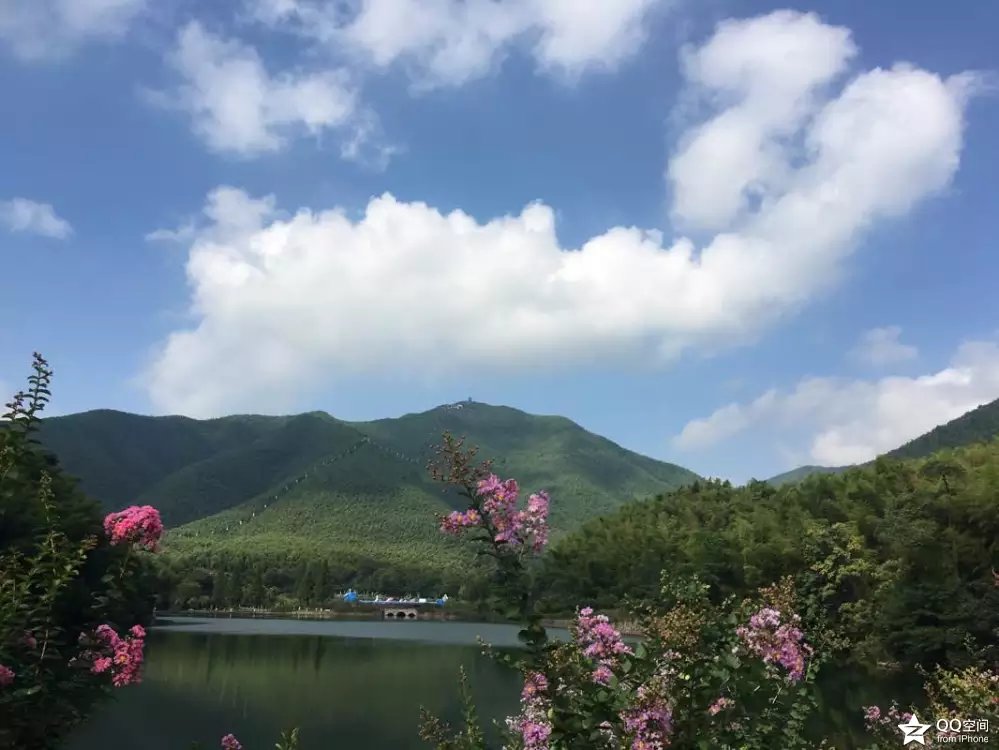 宜兴江南竹海,大美宜兴竹海