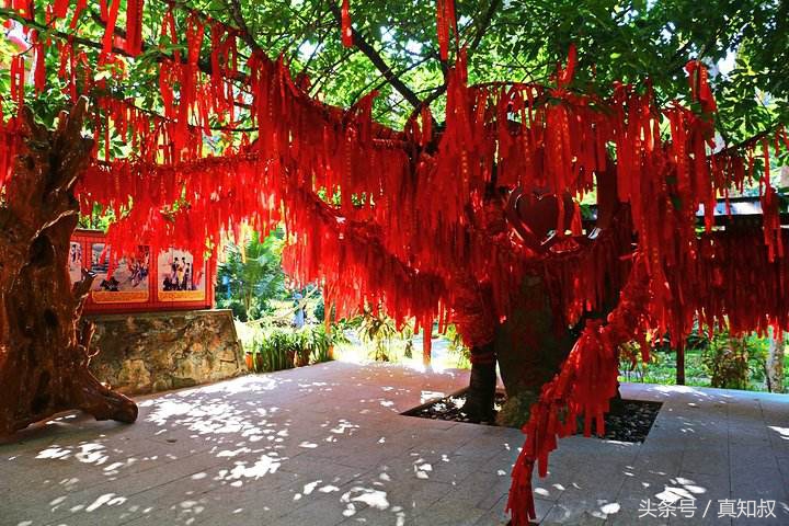 如何摆脱单身这一点有助于你脱单,学会这些套路就能成功脱单