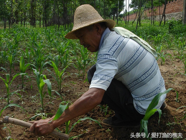 农民总结的种地顺口溜,老祖宗总结的种地顺口溜
