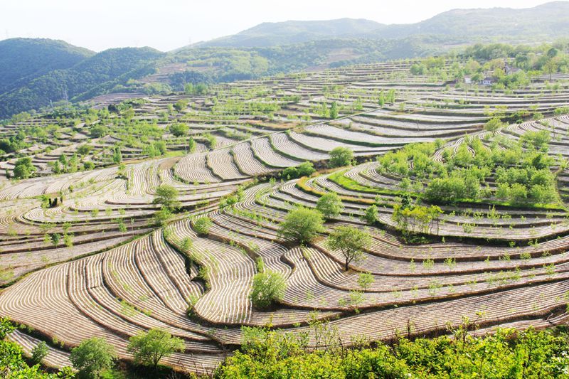 梯田上帝指纹观景台,上帝的指纹密码是什么