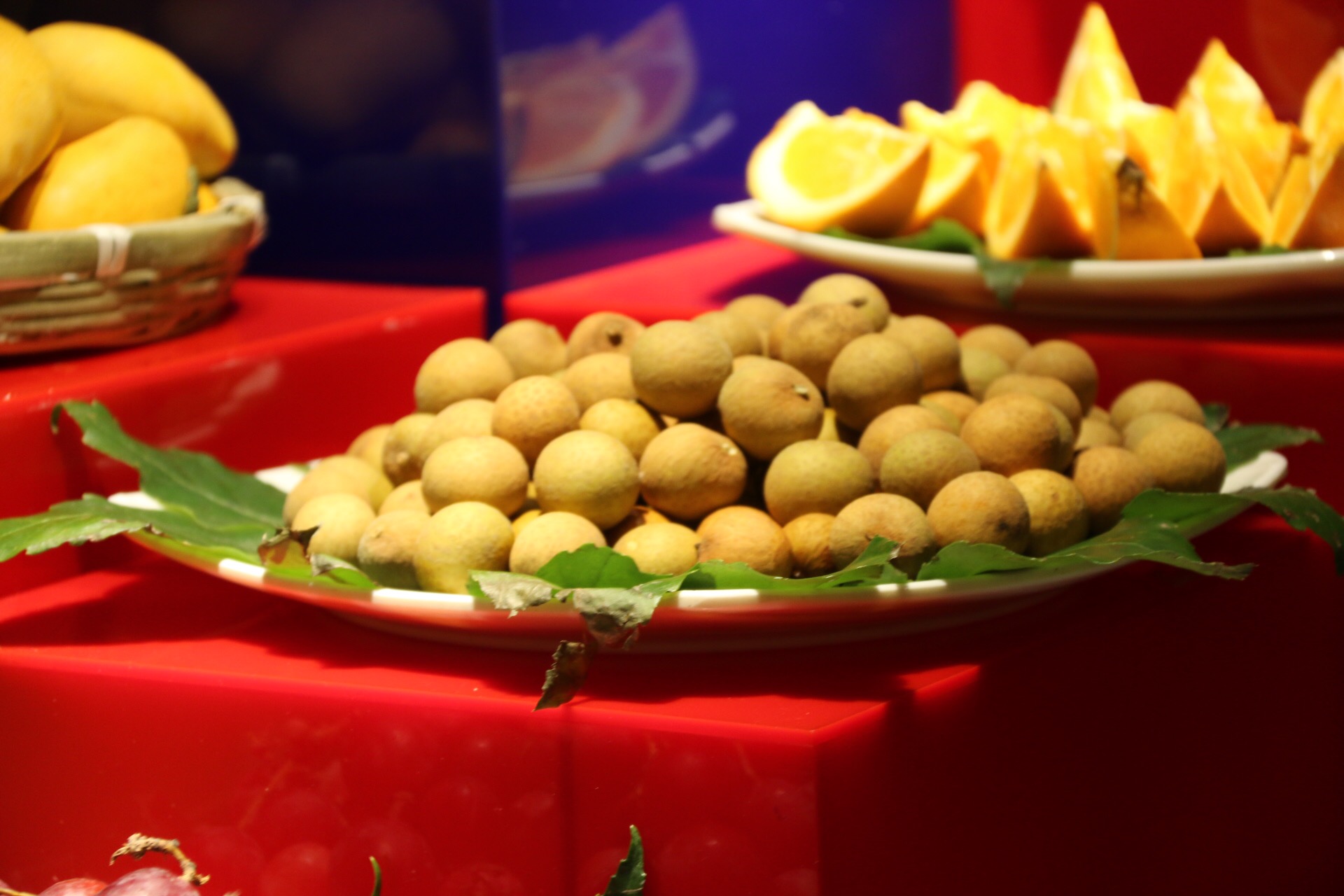 新鲜海洋海鲜,大海的味道不容错过冰鲜海鲜