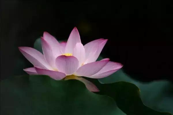 乳腺癌延长生存期的3个要点,乳腺癌患者万万不可忽视