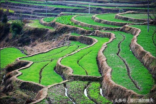 农民总结的种地顺口溜,老祖宗总结的种地顺口溜