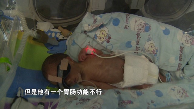 意外怀三胎要崩溃了,意外生的三胎