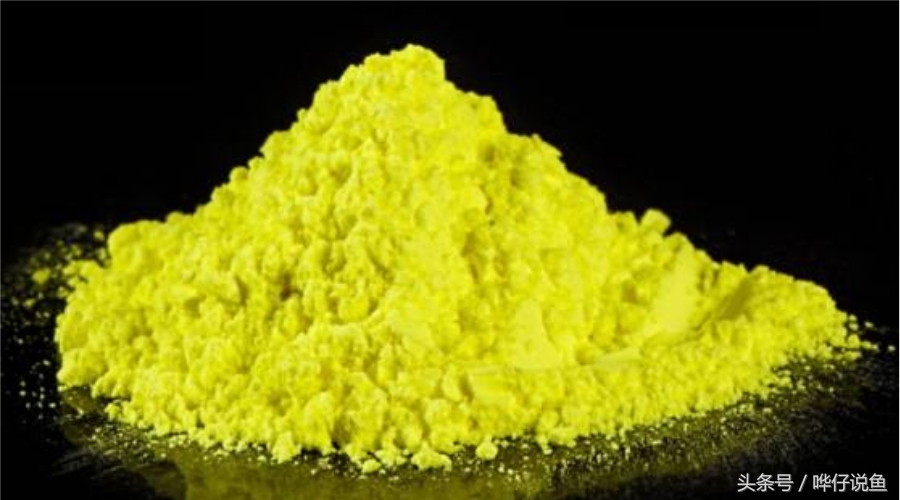 宠物鱼常用药,宠物鱼黄粉