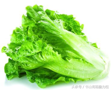 汉堡有助于减肥,汉堡针对减肥有影响吗