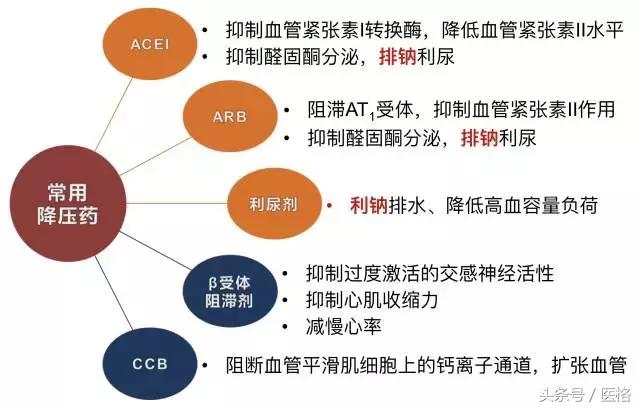 国家基层高血压管理指南,2019高血压基层指南ppt