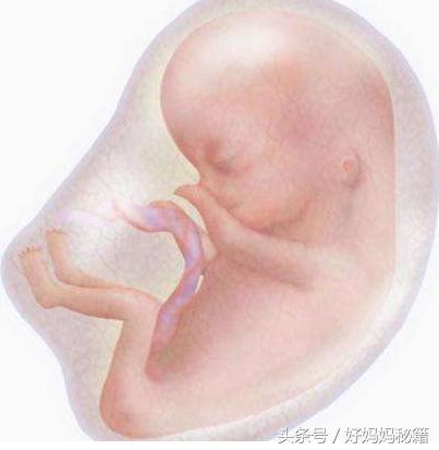 宝宝胎动频繁到让准妈妈心烦意乱,如果胎动异常孕妈会有怎样的反应