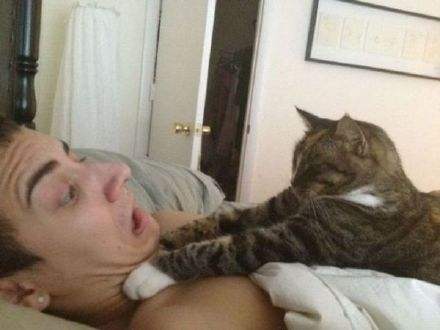 姊﹂瓏tricky,t1wbg姊﹂瓏