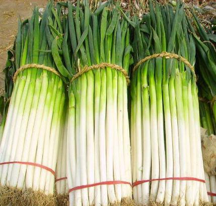 餐创大课堂卤菜学习课堂,餐创大课堂凉菜