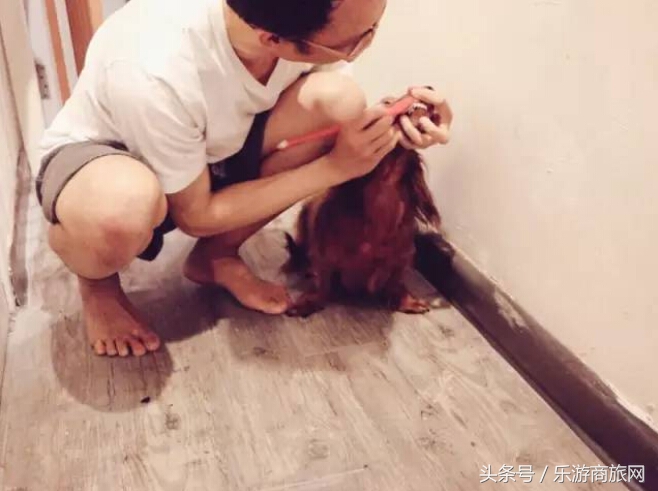 香港旅游攻略,香港游记人间烟火