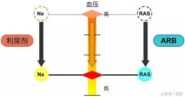 国家基层高血压管理指南,2019高血压基层指南ppt