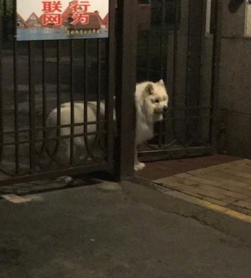 男子骑电瓶车失控撞上路边小哥,男子骑电动车撞上路边停放车受伤