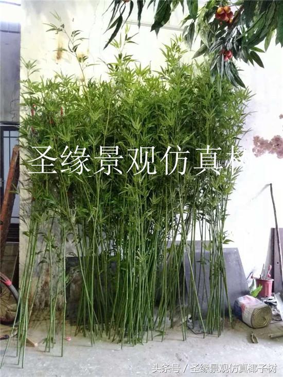 仿真粗竹子植物,似竹子的室内植物