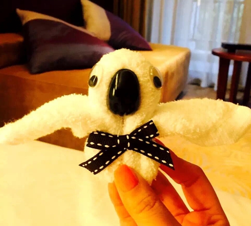 带你玩转长隆动物园,一天玩转长隆欢乐世界和动物园