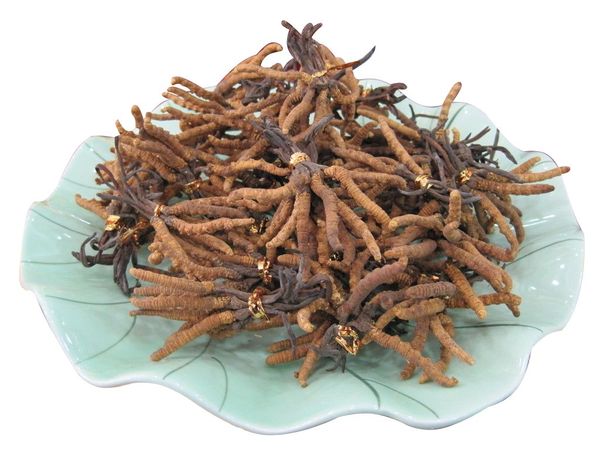 中医治疗激素依赖性皮炎方法,激素依赖性皮炎中药有哪些