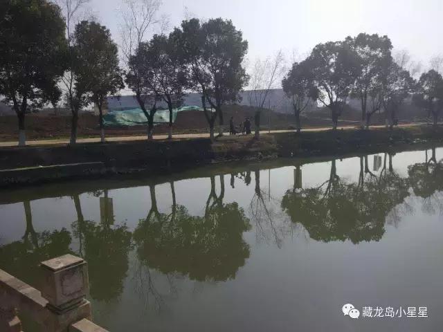 好消息加大整改力度,好消息藏龙岛