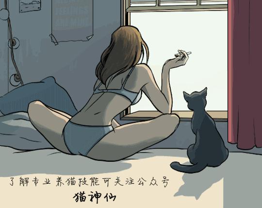 猫咪疾病科普猫咪感冒吃什么药,猫咪皮肤病咨询