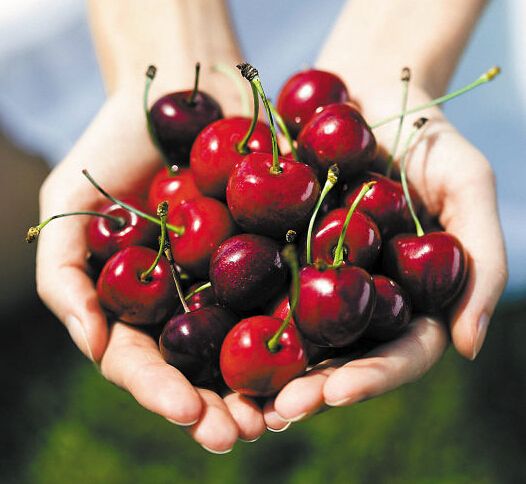 樱桃熟后怎么处理,樱桃熟了请您来品尝