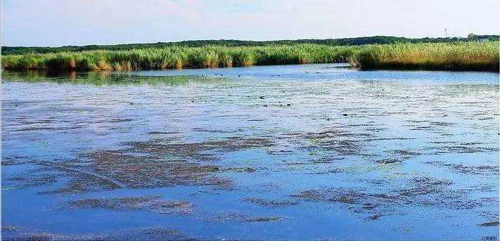 哈尔滨到佳木斯路上好玩的,哈尔滨到佳木斯怎么去最省钱